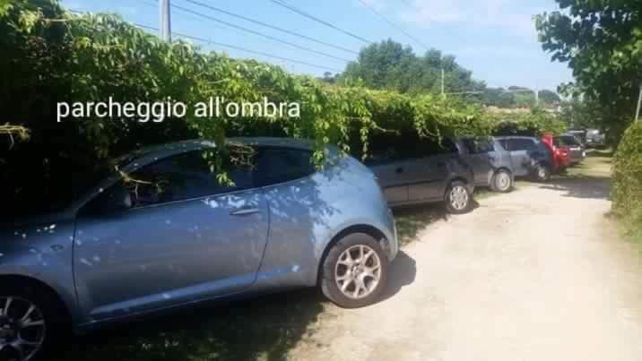 Camping Onda Azzurra Hotel Ortona Kültér fotó