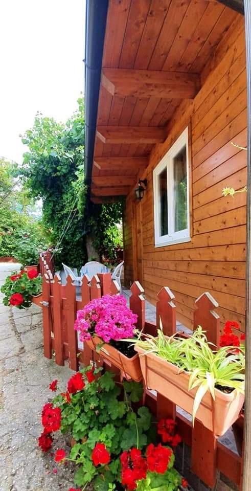 Camping Onda Azzurra Hotel Ortona Kültér fotó